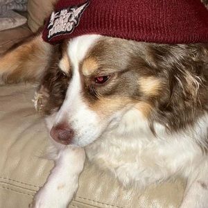 Meet your Posher, Brett